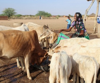 customized agriculture tours to Mauritania